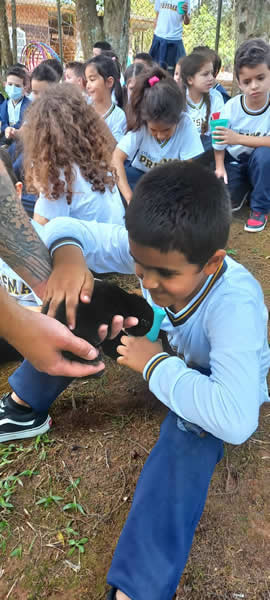 Bicho Mania 2022